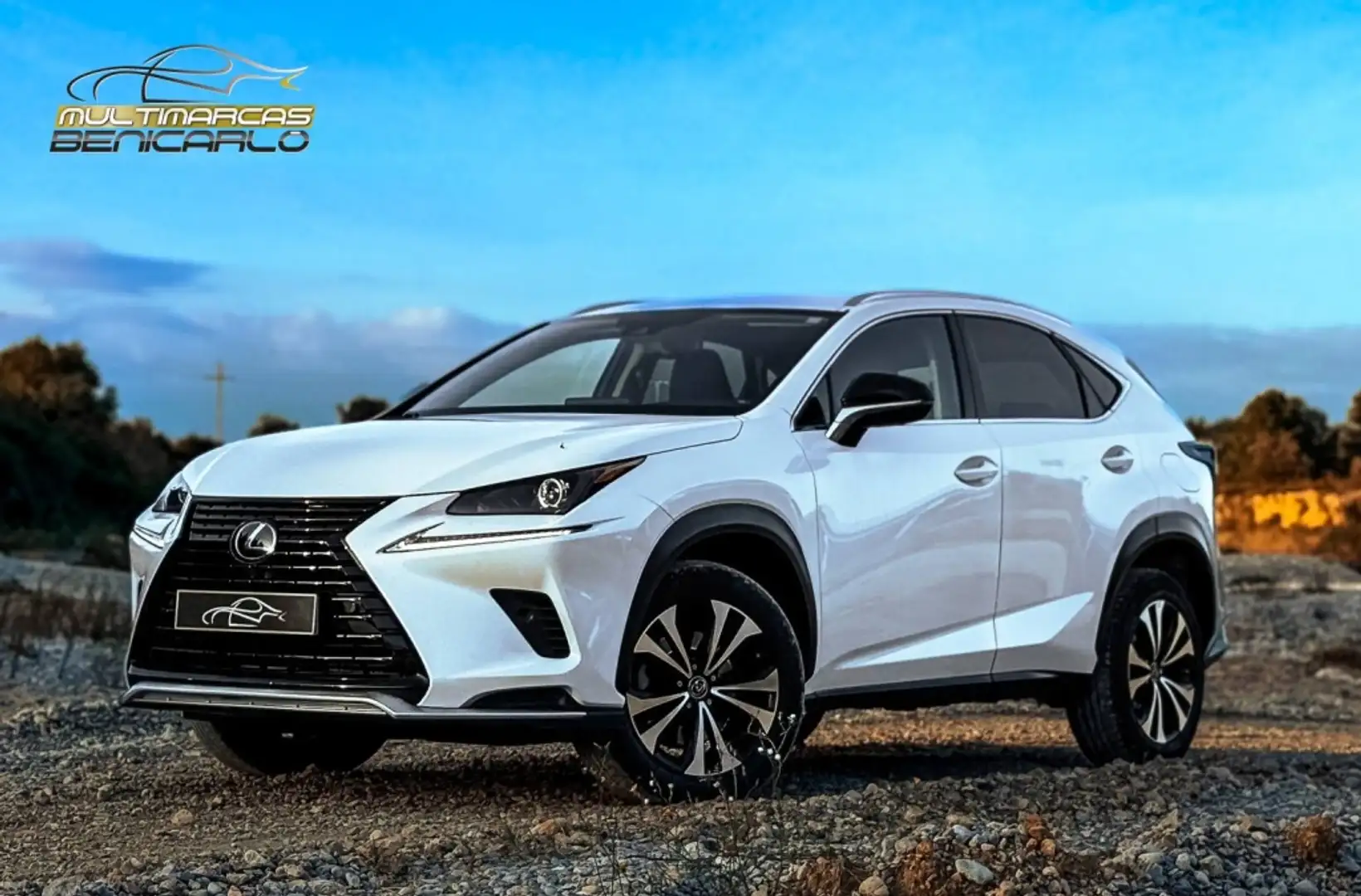 Lexus NX 300 300h Premium 2WD Blanco - 1