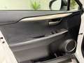 Lexus NX 300 300h Premium 2WD Blanco - thumbnail 17