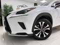 Lexus NX 300 300h Premium 2WD Blanco - thumbnail 3