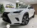 Lexus NX 300 300h Premium 2WD Blanco - thumbnail 2