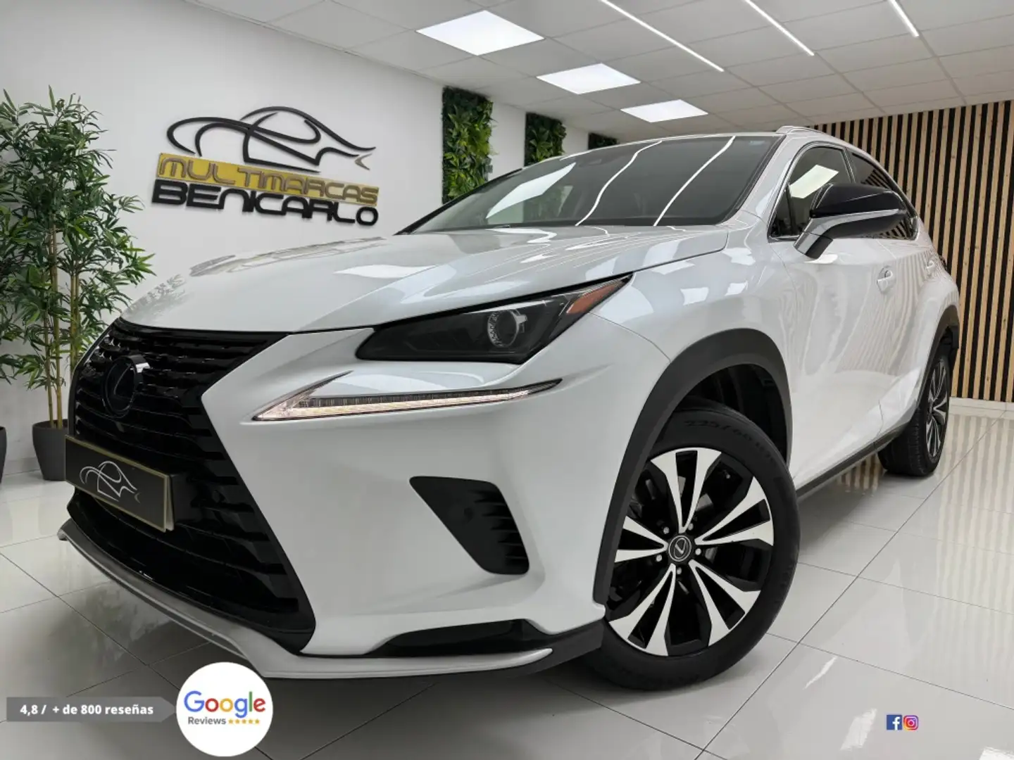 Lexus NX 300 300h Premium 2WD Blanco - 2