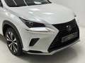 Lexus NX 300 300h Premium 2WD Blanco - thumbnail 7