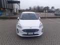 Ford Fiesta Fiesta 5p 1.0 ecoboost Titanium 100cv Blanc - thumbnail 1