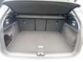 Audi Q2 35 TDI quattro advanced Pano Matrix 19" Navi Grau - thumbnail 16