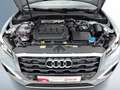 Audi Q2 35 TDI quattro advanced Pano Matrix 19" Navi Grau - thumbnail 18
