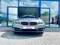 BMW 520 520d *Navigatie pro*trekhaak*adap. koplampen*cam* Gris - thumbnail 26