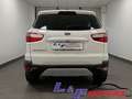 Ford EcoSport 1.5 TDCi 95 CV Titanium Blanc - thumbnail 6