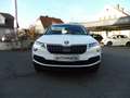Skoda Karoq Karoq 2,0 TDI SCR 4x4 Style DSG Aut. Weiß - thumbnail 2
