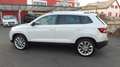 Skoda Karoq Karoq 2,0 TDI SCR 4x4 Style DSG Aut. Weiß - thumbnail 8