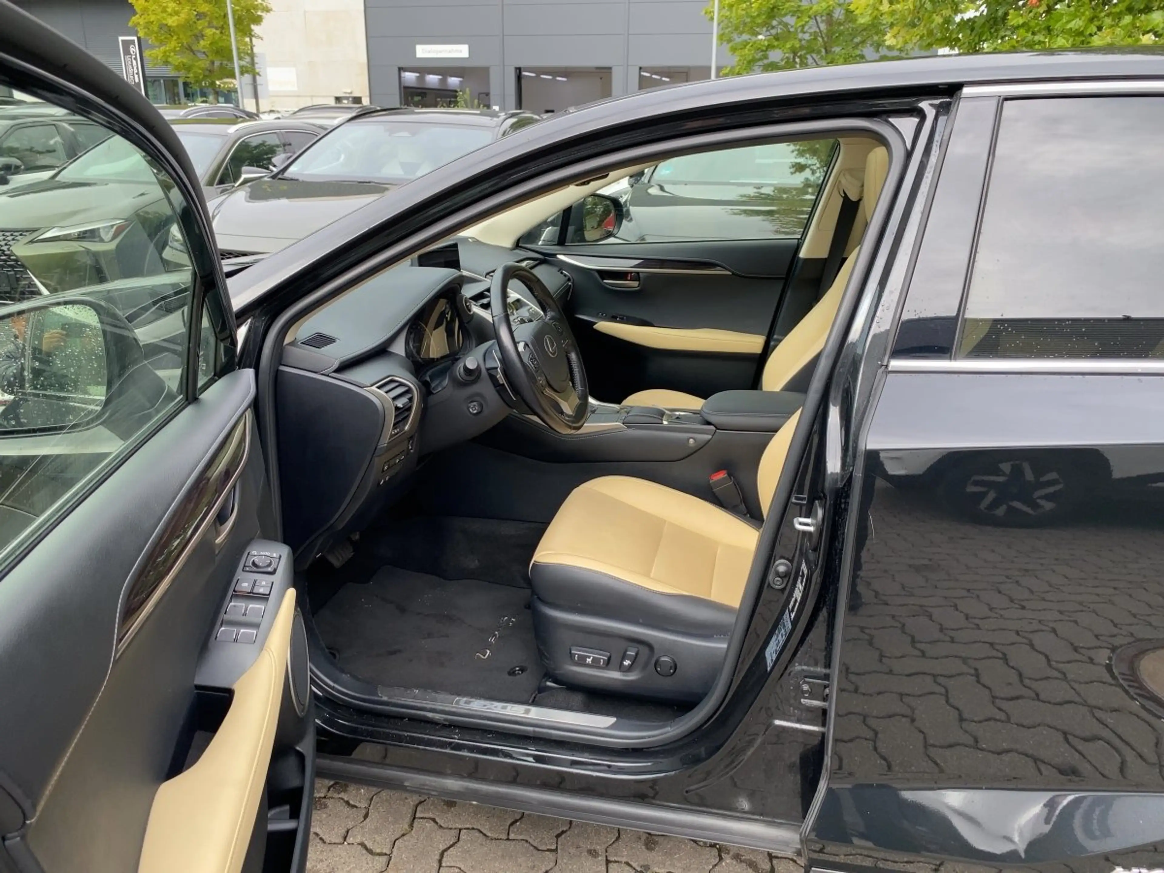 Lexus NX 300h NX 300 h 300h Luxury Line zuverlässiger SUV — photo 12