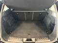 Land Rover Range Rover Evoque EVOQUE 2.0 D 150CV BUSINESS EDITION AWD AUTO Nero - thumbnail 14