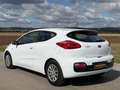 Kia ProCeed / pro_cee'd pro cee'd 1,4 CRDi Titan Last Edition * Neues  ... Weiß - thumbnail 5