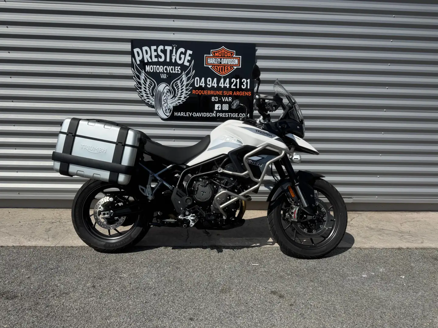 Triumph Tiger 900 Blanc - 1