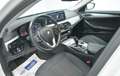 BMW 520 520dA Blanco - thumbnail 8
