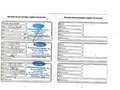 Ford Kuga 1.5 EcoB. Auto S&S Trend+ 4x2 120 Gris - thumbnail 24