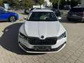 Skoda Superb Combi 1.5 TSI *TOP-Ausstattung* STYLE Weiß - thumbnail 2