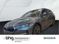 Skoda Octavia Combi 2.0 TDI DSG Selection #PANO #HEAD- Grau - thumbnail 1