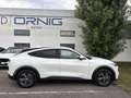 Ford Mustang Mach-E Mache-E Standard Range RWD-Heck Weiß - thumbnail 6