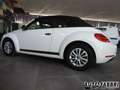 Volkswagen VOLKSWAGEN - New Beetle Maggiolino  Cabrio 1.2 TSI Bianco - thumbnail 6