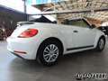 Volkswagen VOLKSWAGEN - New Beetle Maggiolino  Cabrio 1.2 TSI Bianco - thumbnail 3