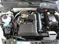 Volkswagen VOLKSWAGEN - New Beetle Maggiolino  Cabrio 1.2 TSI Bianco - thumbnail 11