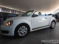 Volkswagen VOLKSWAGEN - New Beetle Maggiolino  Cabrio 1.2 TSI Bianco - thumbnail 4