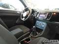 Volkswagen VOLKSWAGEN - New Beetle Maggiolino  Cabrio 1.2 TSI Bianco - thumbnail 12