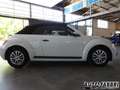 Volkswagen VOLKSWAGEN - New Beetle Maggiolino  Cabrio 1.2 TSI Bianco - thumbnail 9