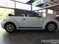 Volkswagen VOLKSWAGEN - New Beetle Maggiolino  Cabrio 1.2 TSI Bianco - thumbnail 2