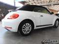 Volkswagen VOLKSWAGEN - New Beetle Maggiolino  Cabrio 1.2 TSI Bianco - thumbnail 8