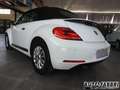 Volkswagen VOLKSWAGEN - New Beetle Maggiolino  Cabrio 1.2 TSI Bianco - thumbnail 7