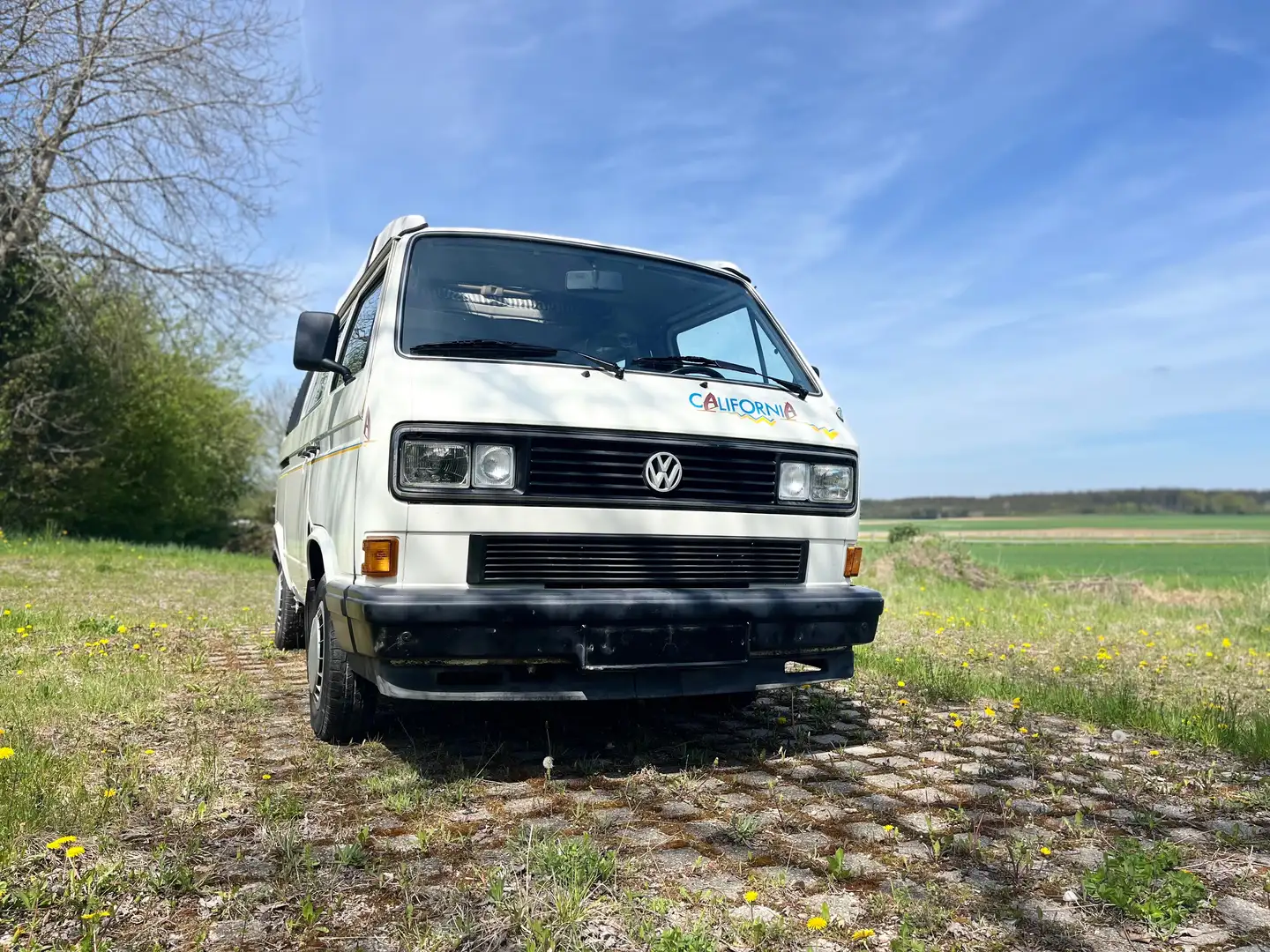 Volkswagen T3 California - 1