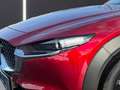 Mazda CX-30 2.5L e-SKYACTIV G 140ps 6AT 2WD HOMURA Rot - thumbnail 5