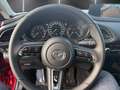 Mazda CX-30 2.5L e-SKYACTIV G 140ps 6AT 2WD HOMURA Rot - thumbnail 9