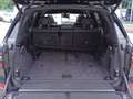 BMW X7 M xdrive 40d 48V MSport auto 7p.ti Nero - thumbnail 14