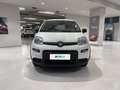 Fiat Panda 1.0 FireFly 70cv S&S Hybrid Pandina Blanc - thumbnail 6