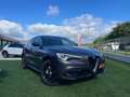 Alfa Romeo Stelvio Stelvio 2.2 t Super Q4 210cv auto my19 Gris - thumbnail 2