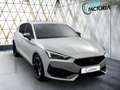 CUPRA Leon -38% 1.5 eTSI 150cv BVA+GPS+CAM+MATRIX LED+Opts Beige - thumbnail 2