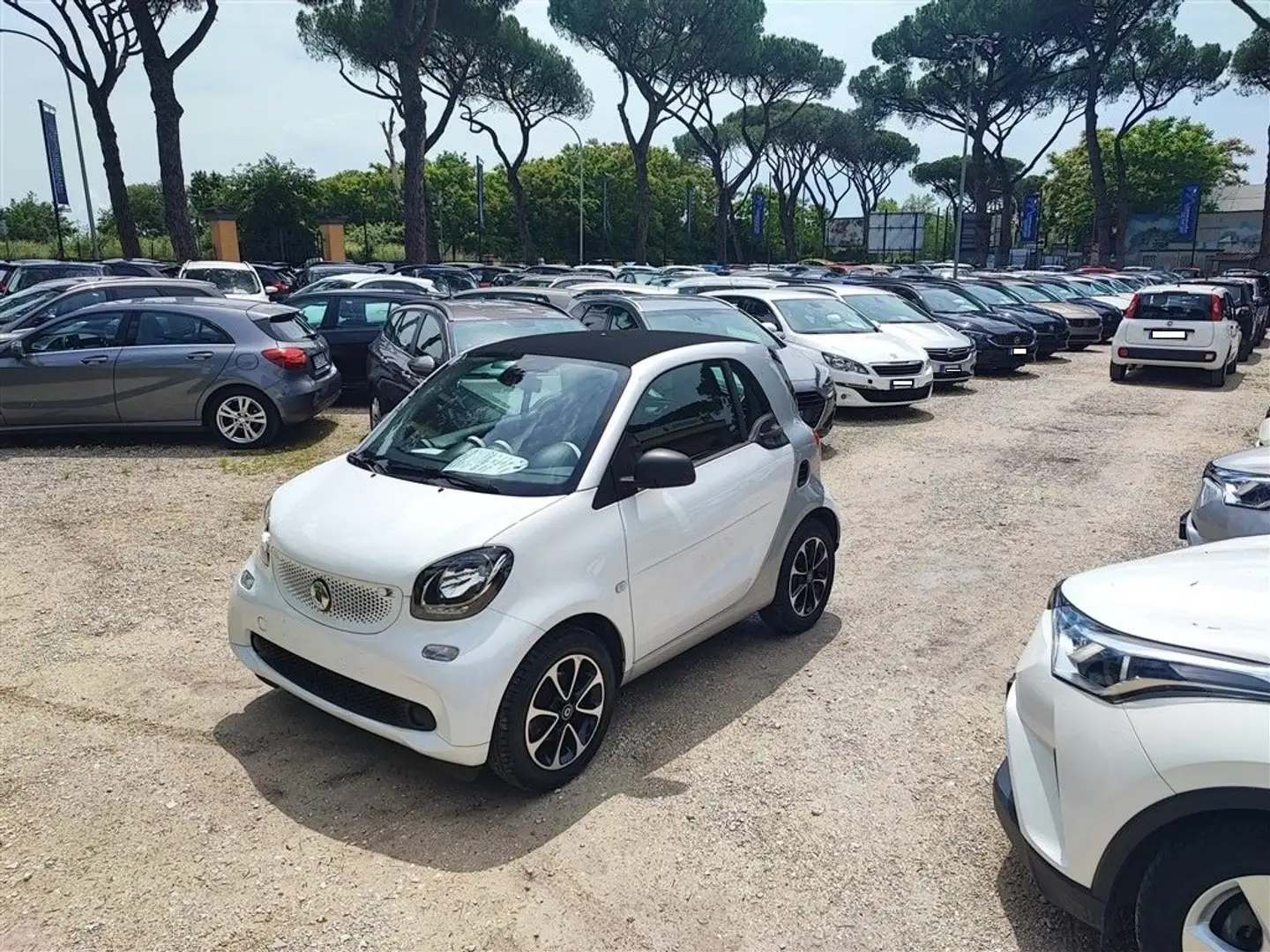 smart forTwo 70 1.0 AndroiAuto,TETTO PANORAMA,CRUISE,CLIMA .. Bianco - 1