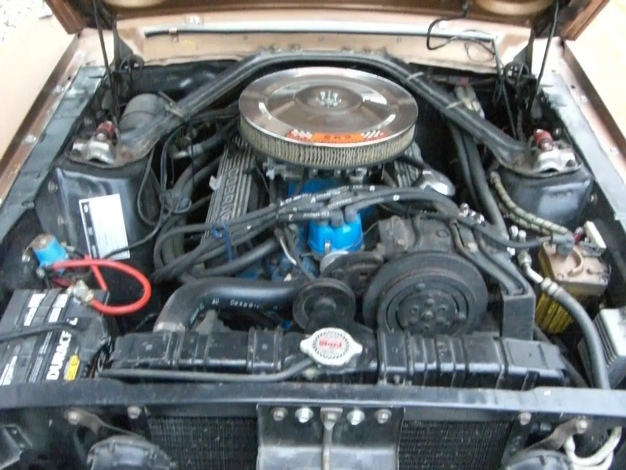 Ford Mustang Cabrio GT Ausstattung Schalter, foto 7