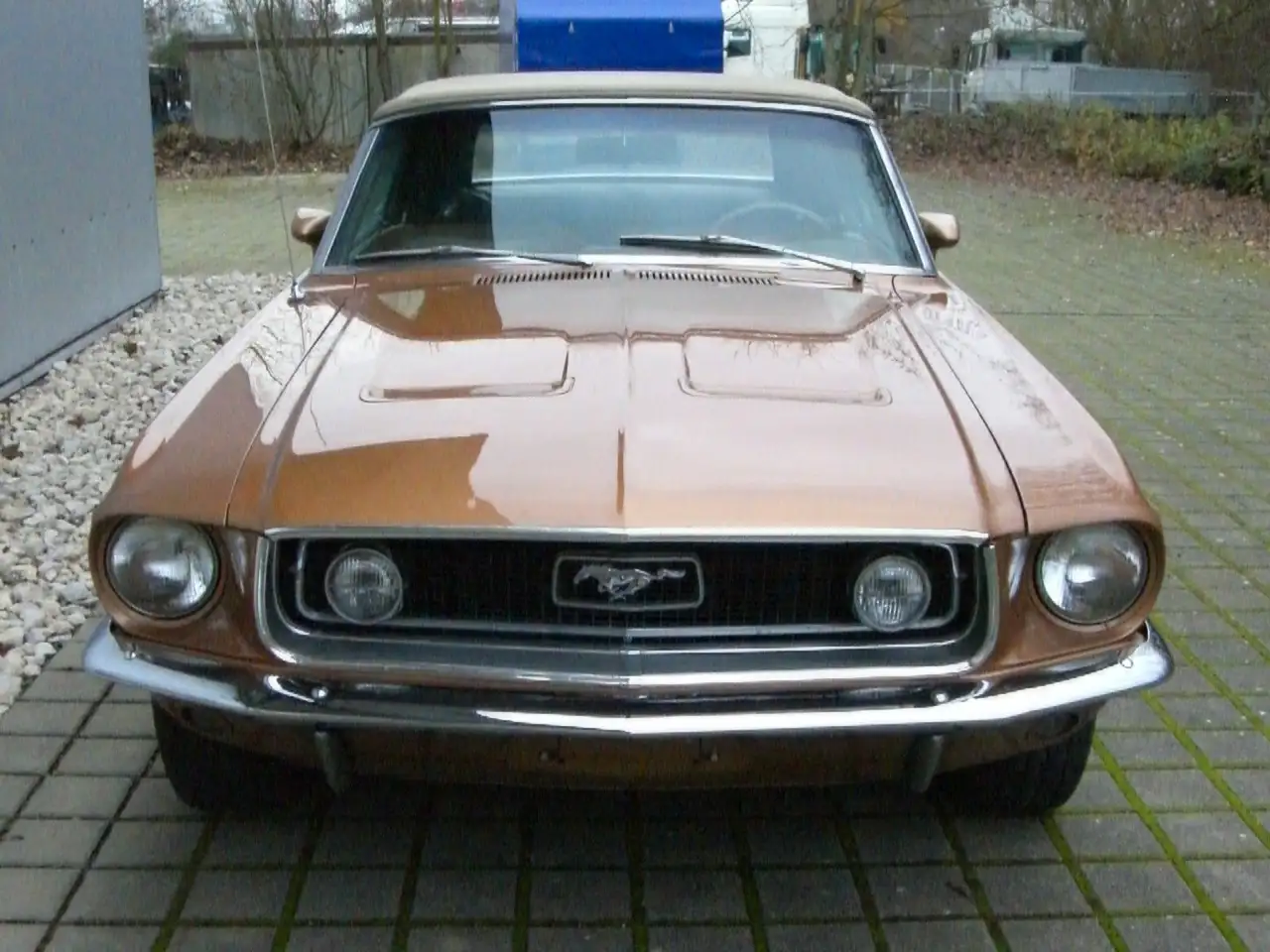 Ford Mustang Cabrio GT Ausstattung Schalter, foto 11