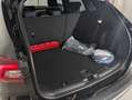 Ford Kuga 2,5 Duratec PHEV Titanium Aut. *Ganzjahresreife... Schwarz - thumbnail 8