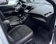Ford Kuga ST-Line / Panoramadach Weiß - thumbnail 12