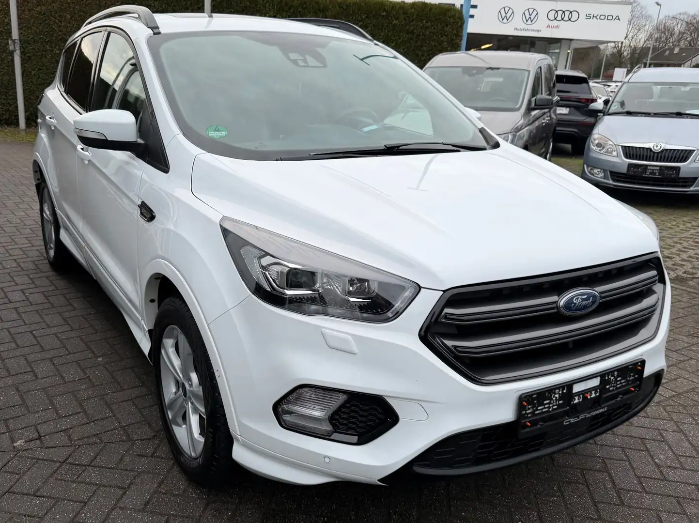 Ford Kuga ST-Line / Panoramadach Weiß - 2