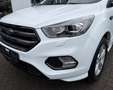 Ford Kuga ST-Line / Panoramadach Weiß - thumbnail 14