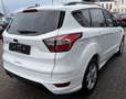 Ford Kuga ST-Line / Panoramadach Weiß - thumbnail 3