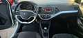 Kia Picanto 1.0 12V EcoGPL 5 porte Glam Blanc - thumbnail 7
