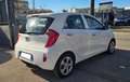 Kia Picanto 1.0 12V EcoGPL 5 porte Glam Blanc - thumbnail 3