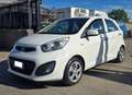 Kia Picanto 1.0 12V EcoGPL 5 porte Glam Blanc - thumbnail 1