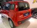 Fiat Panda 1.3 MJT 95 CV S&S Easy  tua da €119,00 mensili Rosso - thumbnail 5